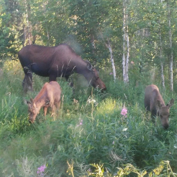 Meet your Posher, Teresa - Picture 6 of 8